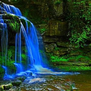 Meet your Posher, Larry